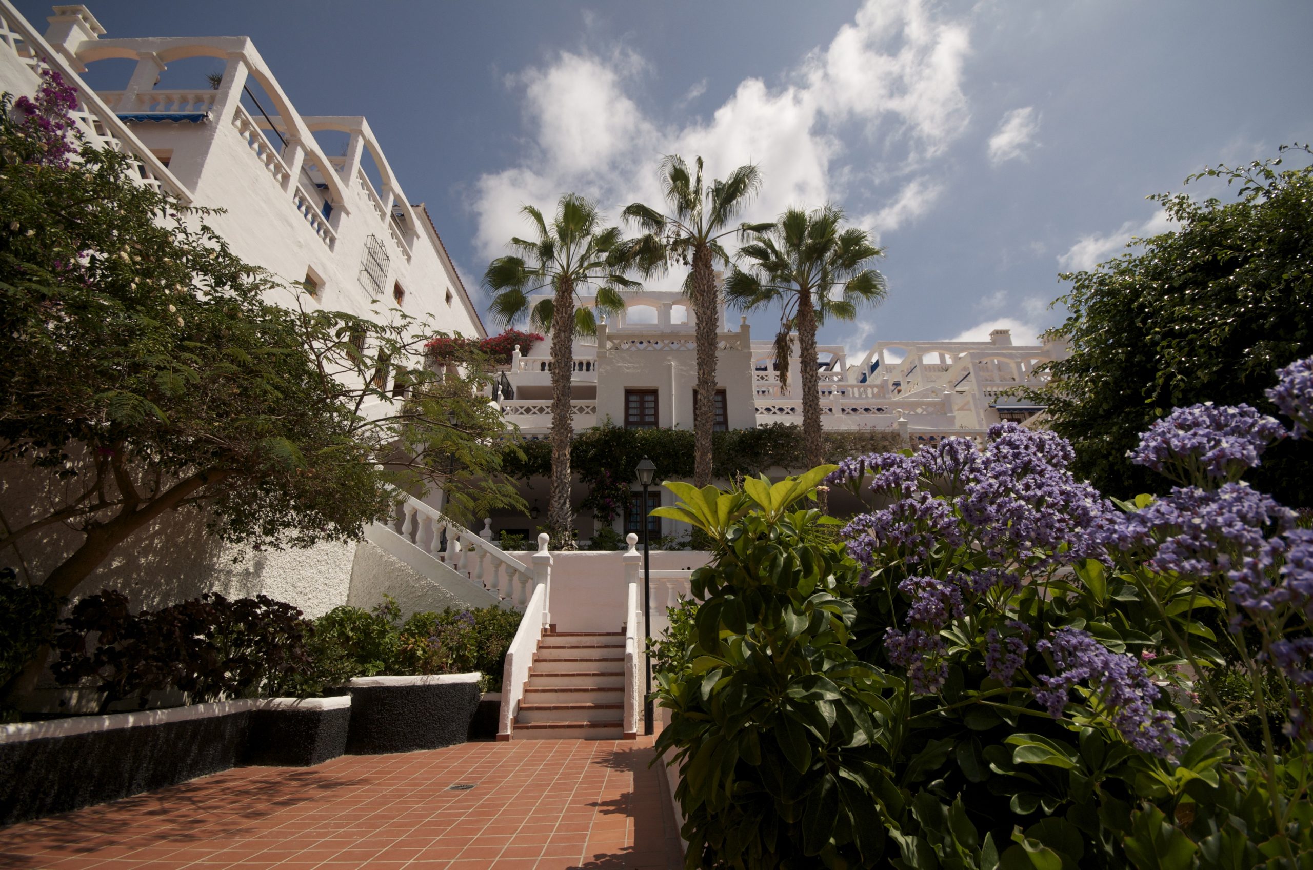 Home Page Royal Palm Holiday Apartments in Tenerife