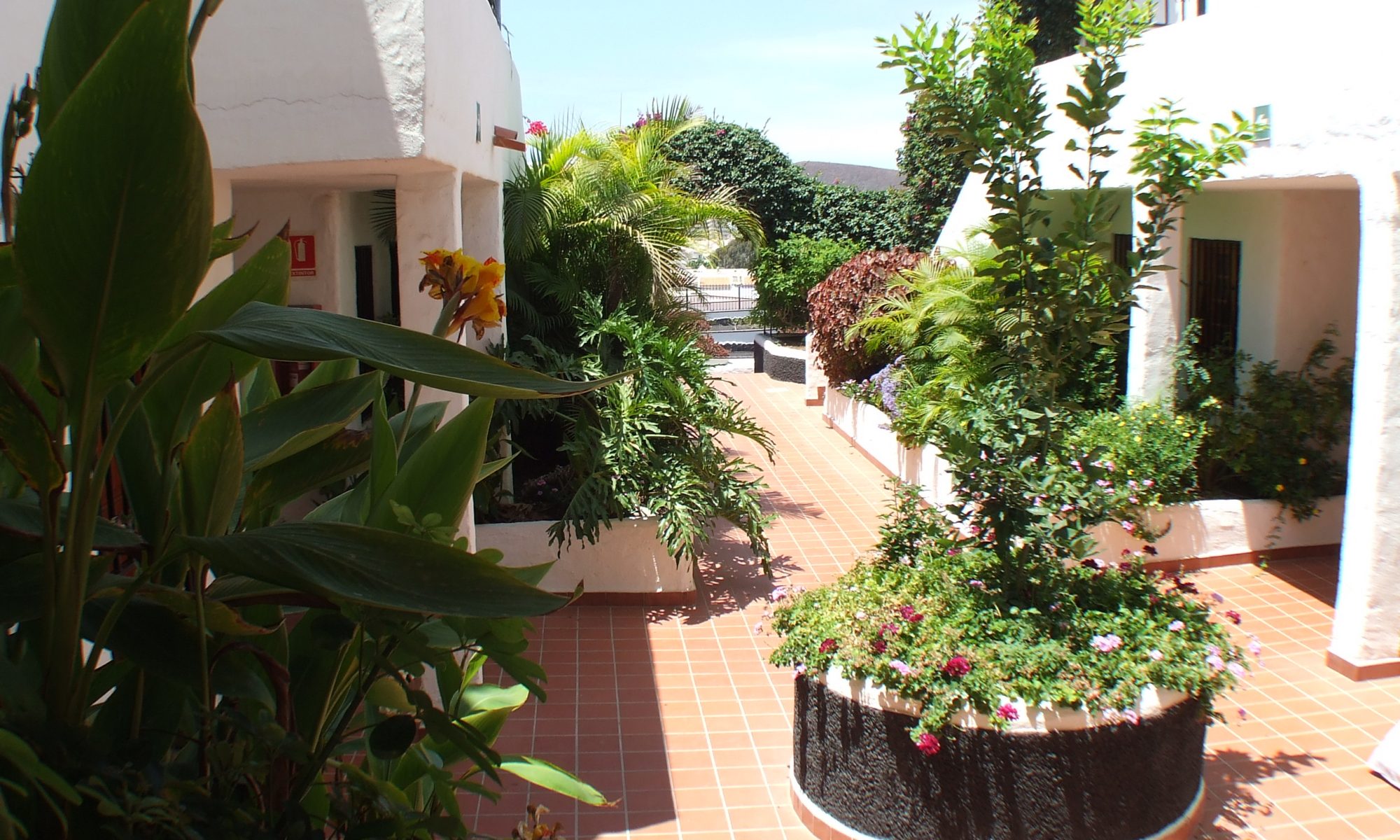 Holiday Apartments Tenerife 99 Plaza